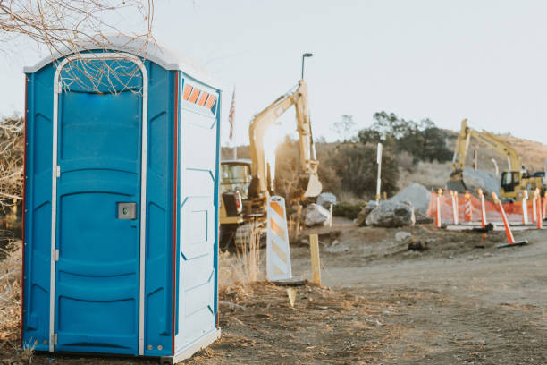 Best Affordable portable toilet rental  in Sandoval, IL