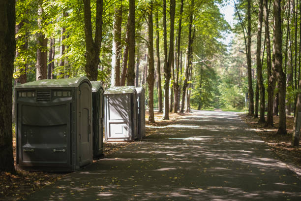 Best Sanitation services for porta potties  in Sandoval, IL