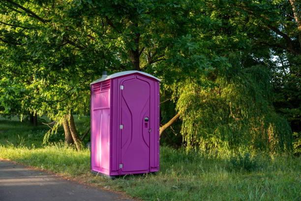Affordable portable toilet rental in Sandoval, IL